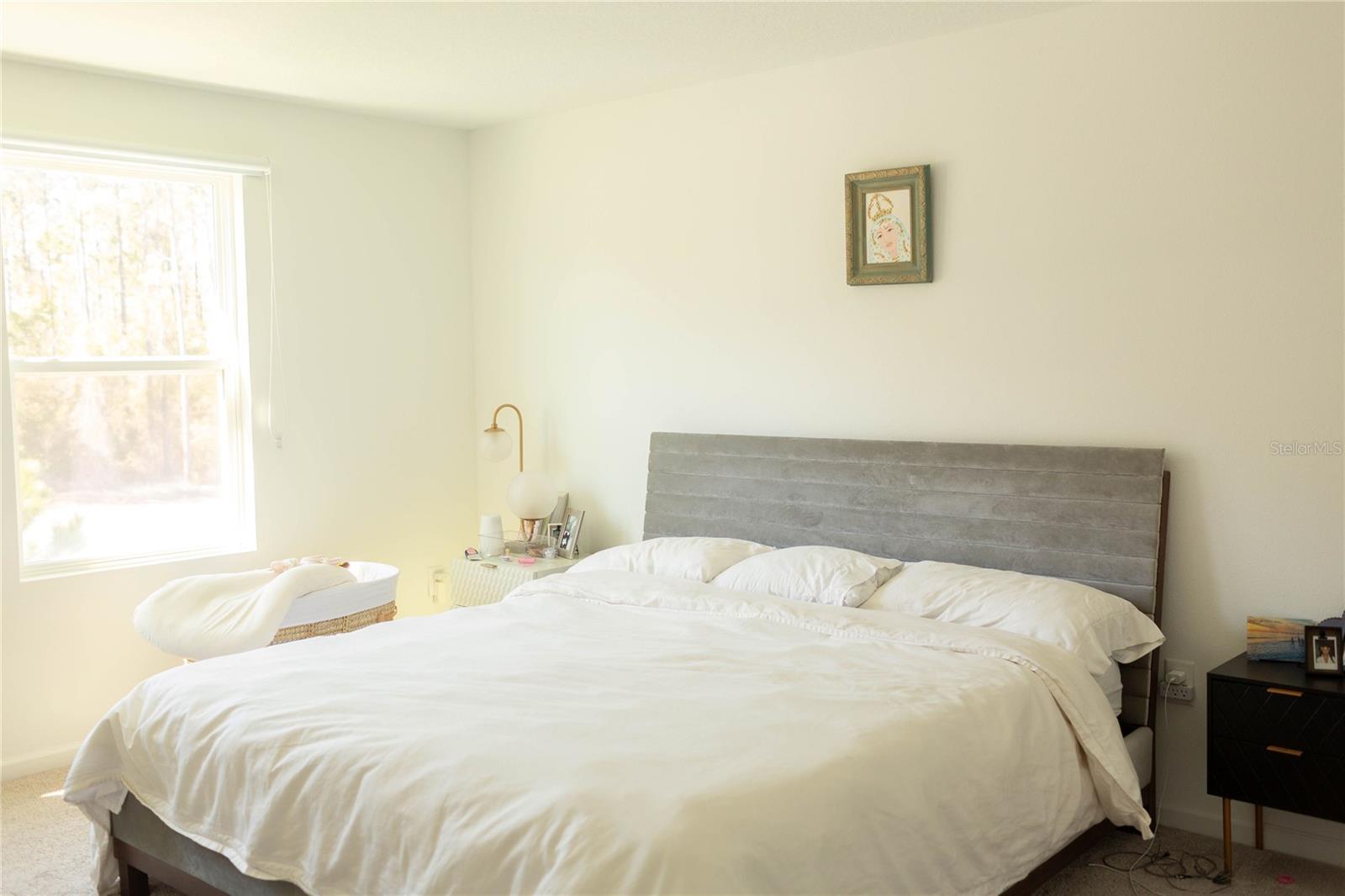 Image 9 of 14 For 2015 Hemingway Circle