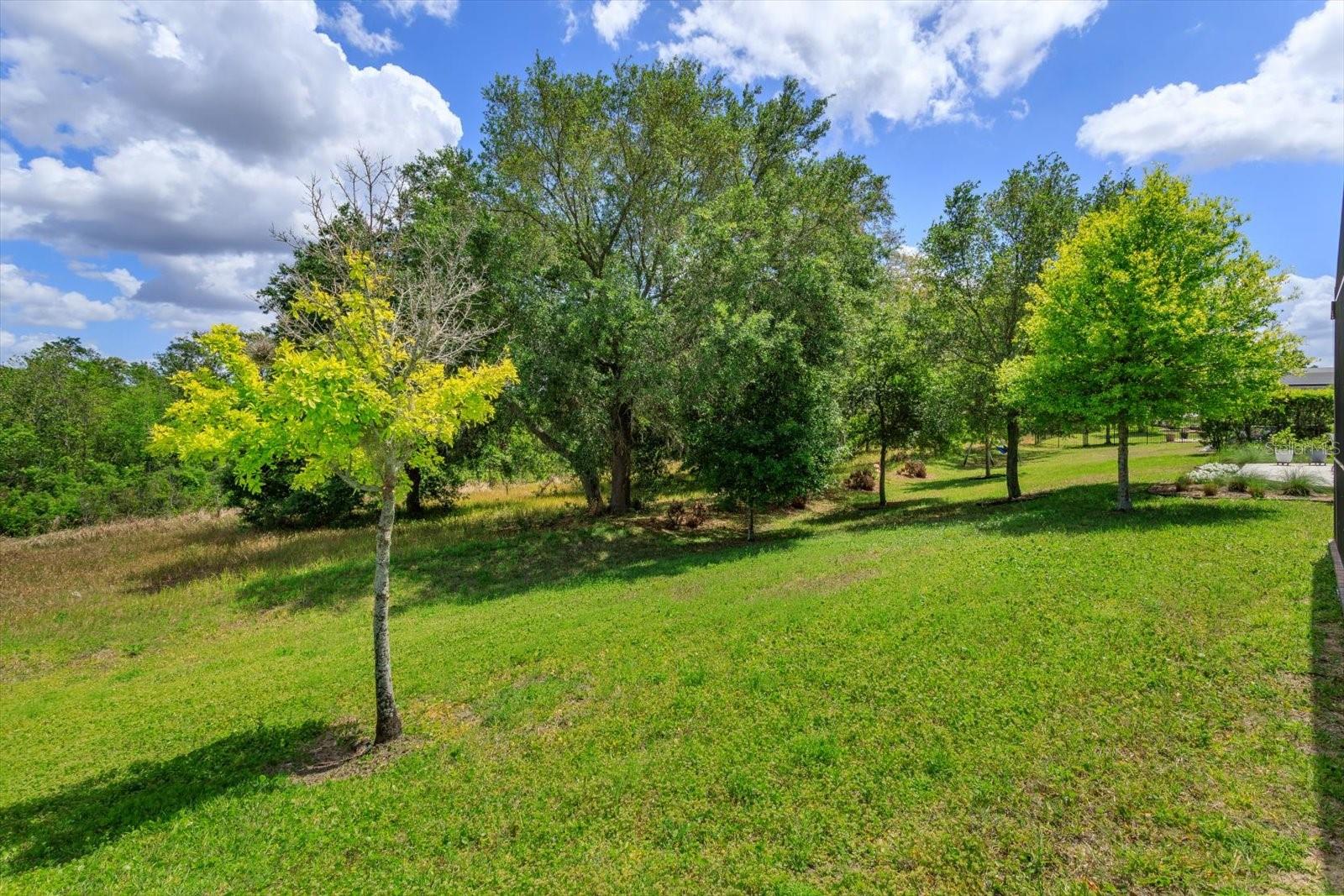 Image 38 of 40 For 13813 Peach Orchard Way