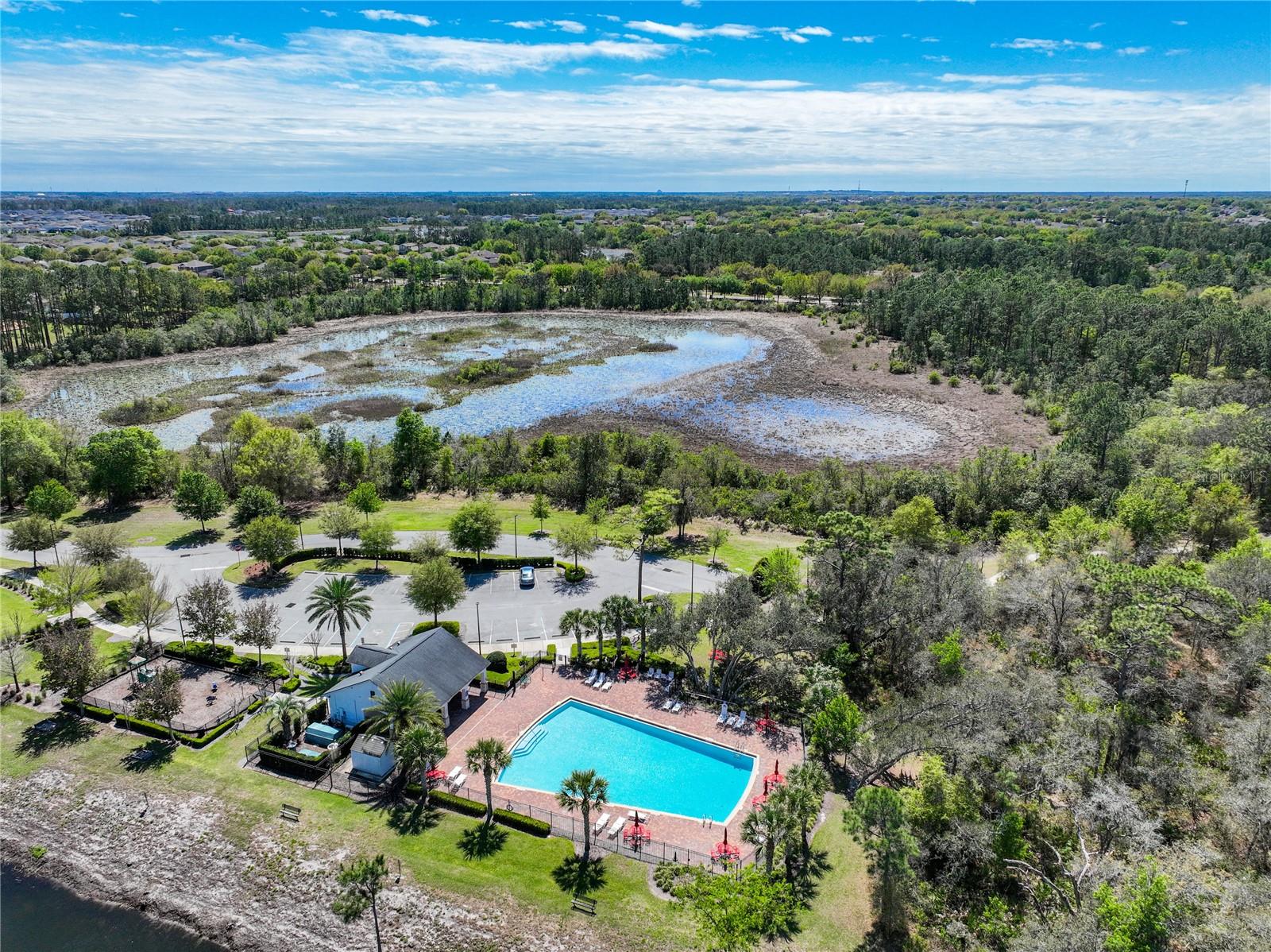 Image 10 of 79 For 16486 Champlain Street