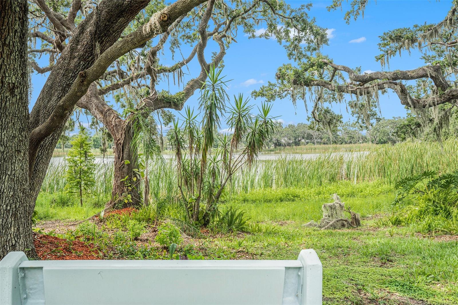 Image 35 of 44 For 14050 Blackjack Road