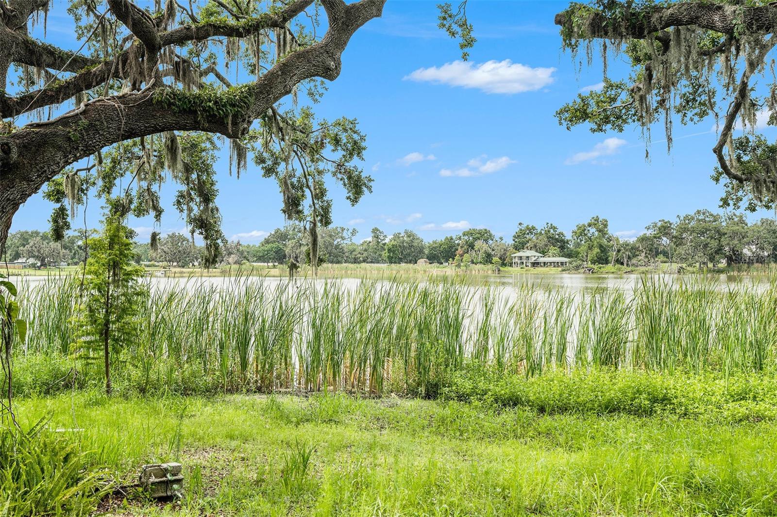 Image 36 of 44 For 14050 Blackjack Road