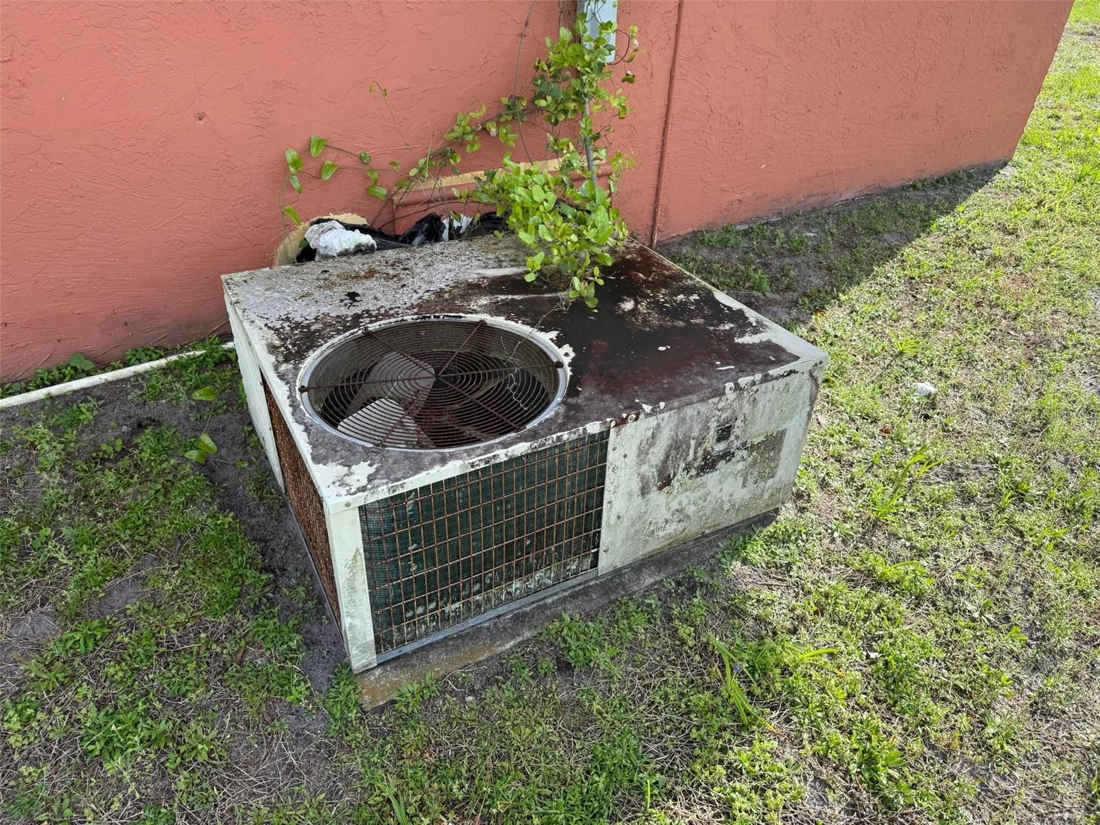 Image 33 of 38 For 3802 Avenue N