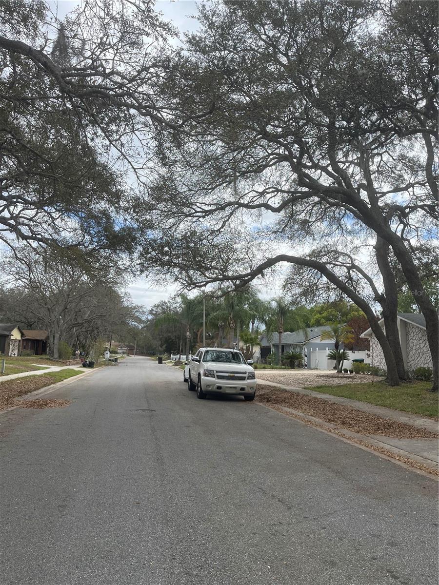 Image 29 of 31 For 3005 Wedge Court