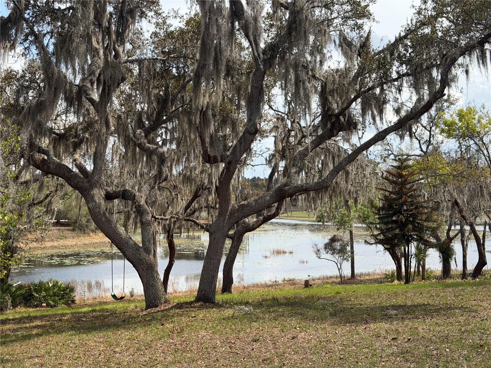 Details for 17549 Seidner Road, WINTER GARDEN, FL 34787