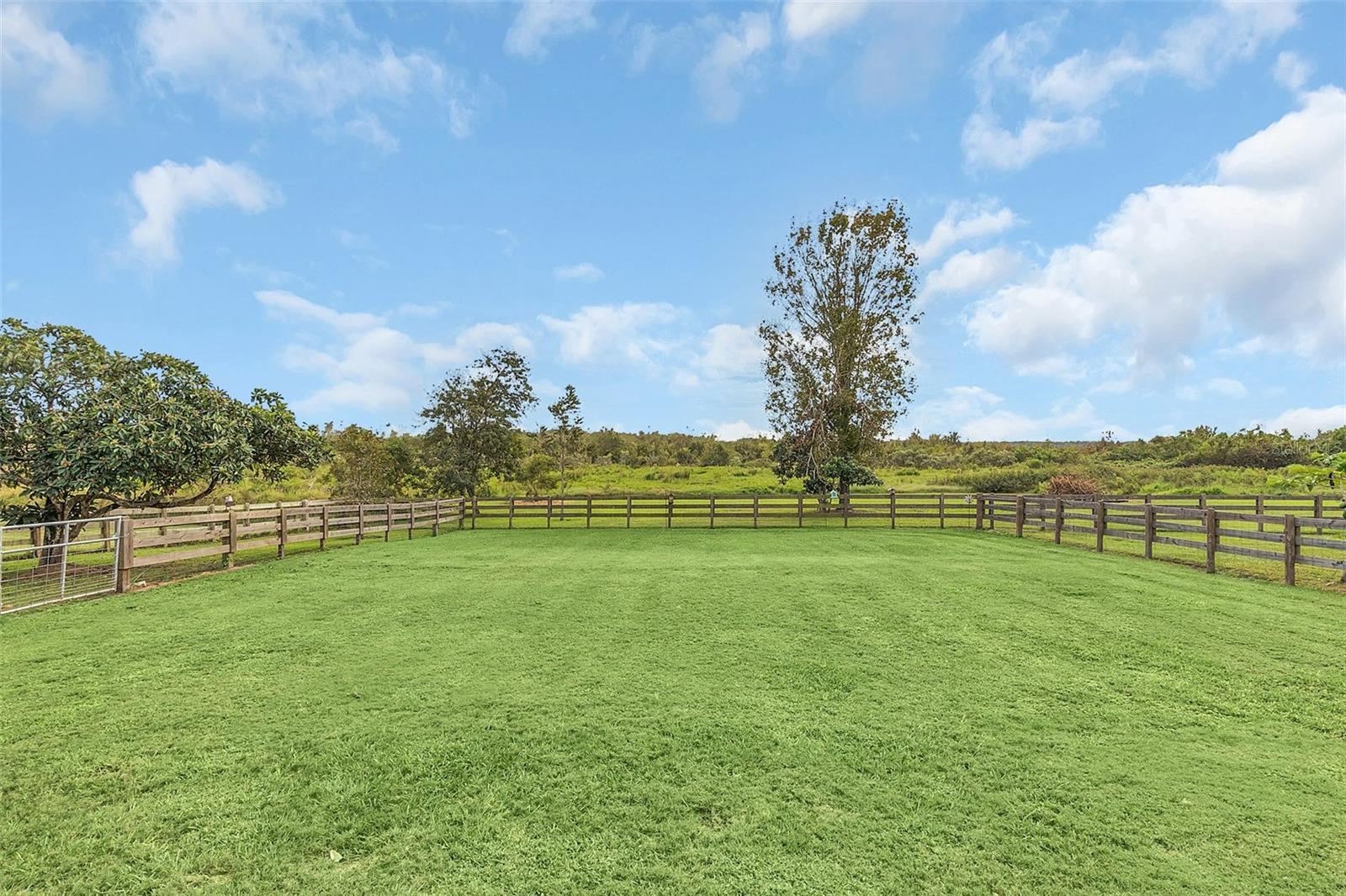 Image 65 of 87 For 4750 Rummell Road