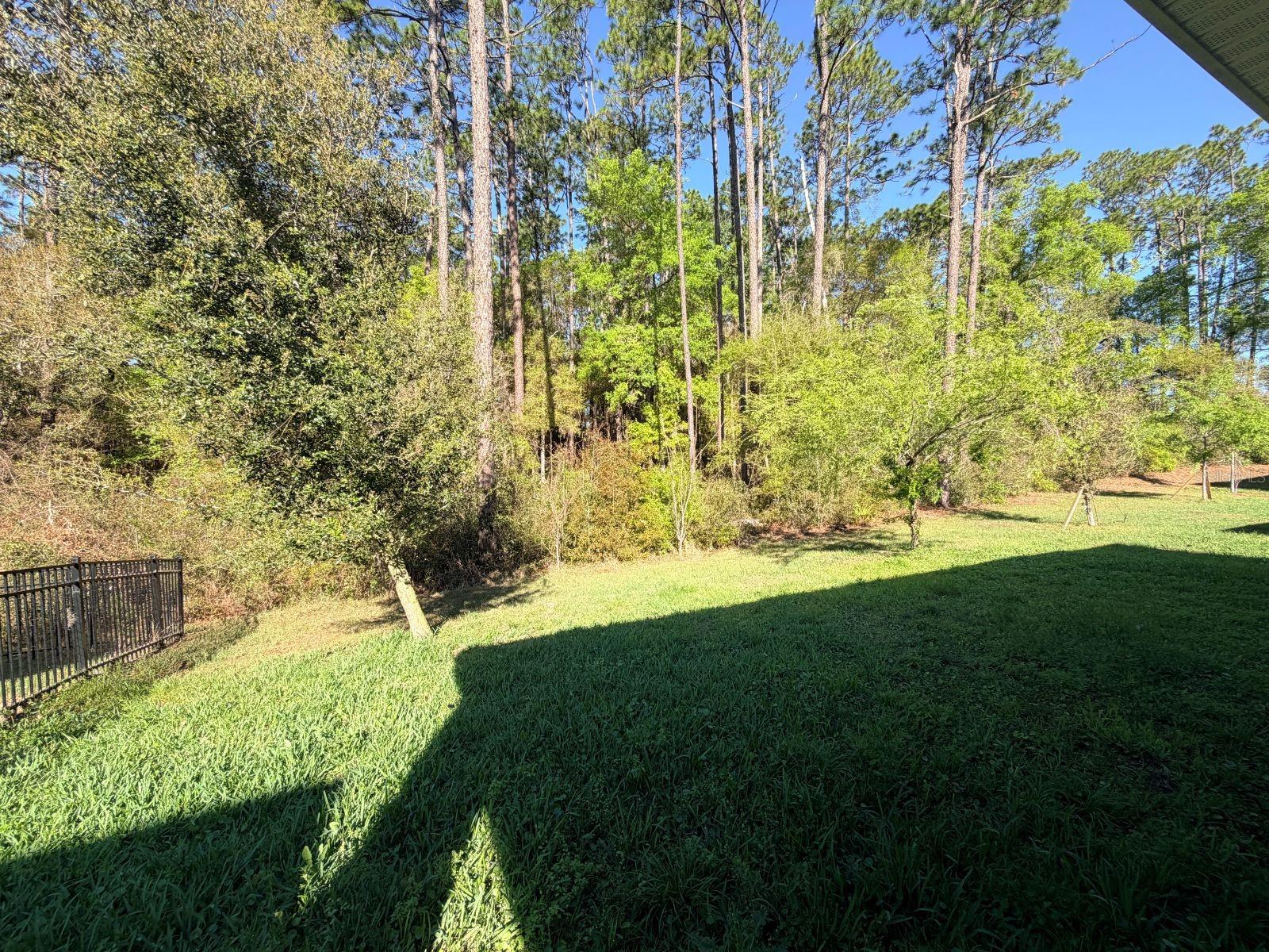 Image 11 of 11 For 507 Lady Irelyn Court