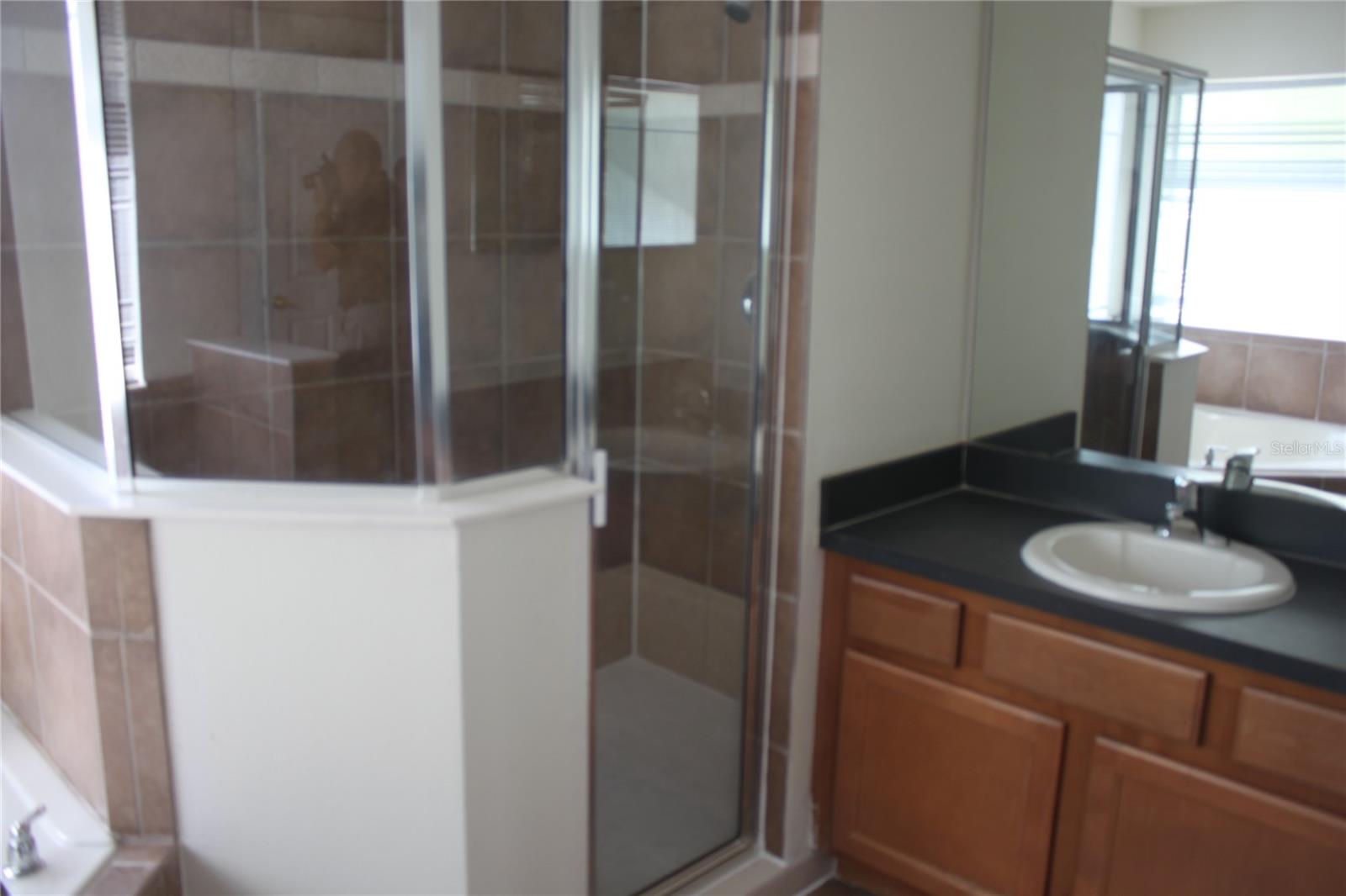 Image 12 of 20 For 4542 Blue Major Drive