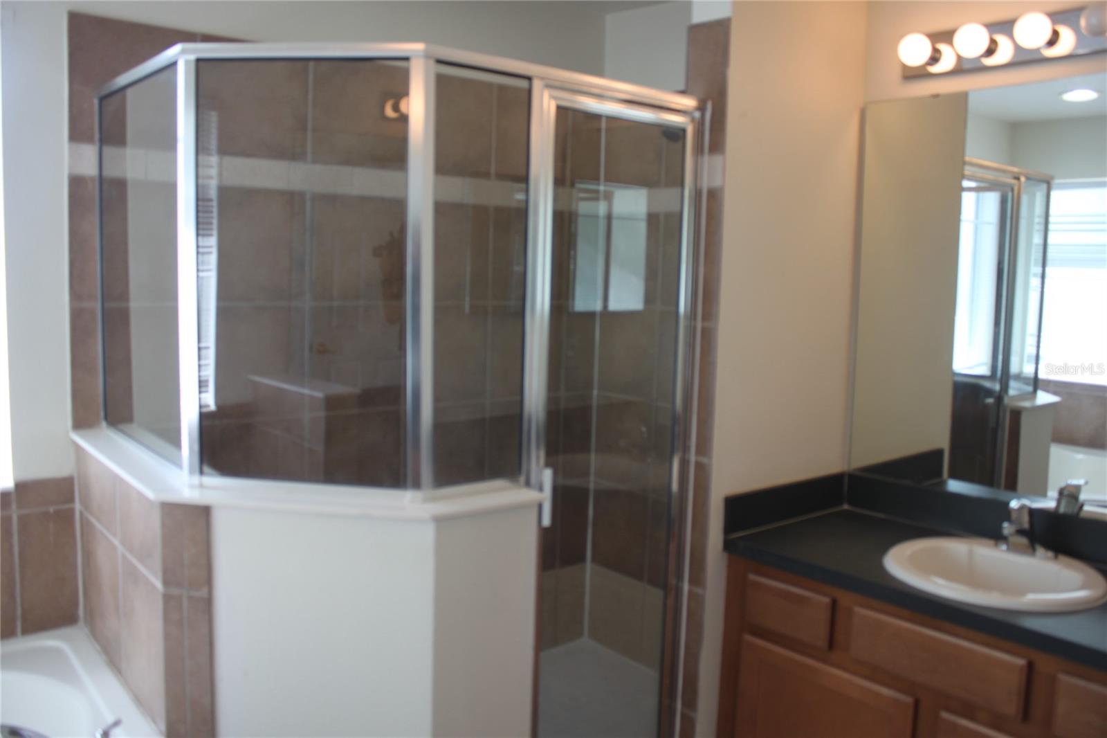 Image 13 of 20 For 4542 Blue Major Drive