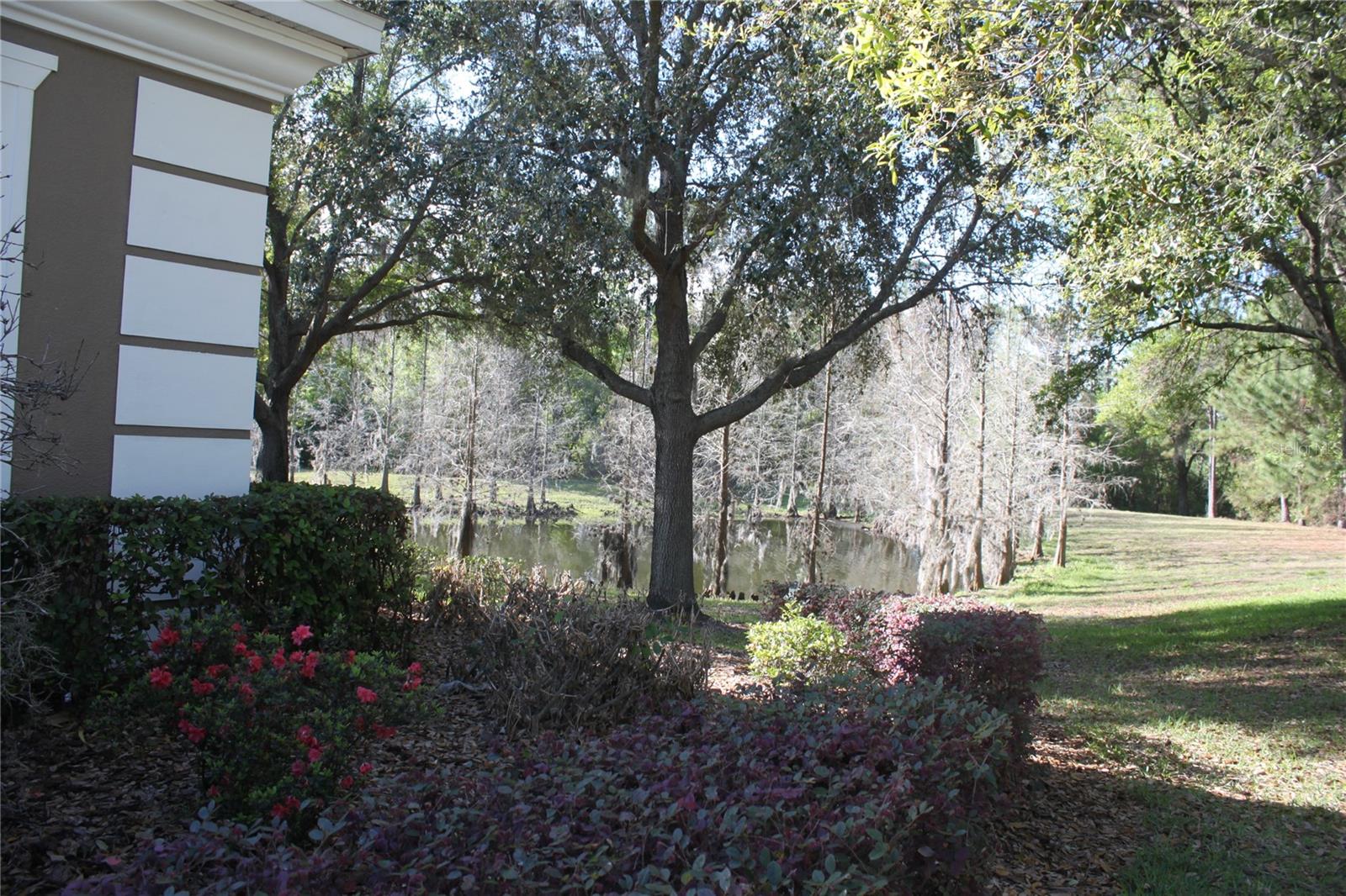 Image 22 of 26 For 3222 Villa Strada Way