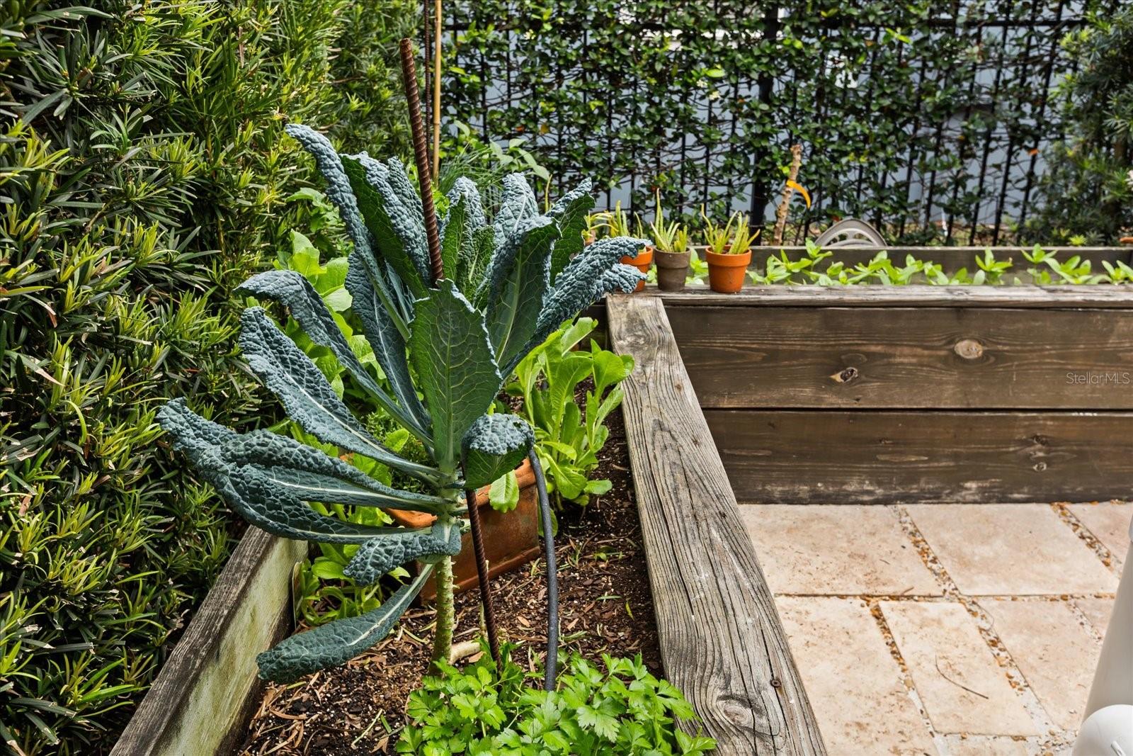 Image 36 of 50 For 3802 Haws Lane