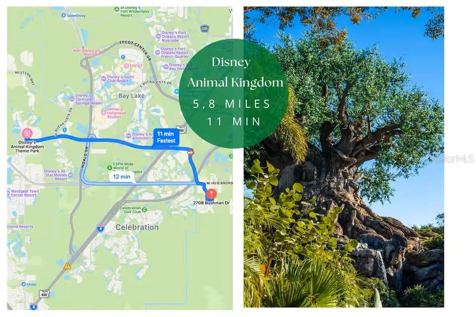 Image 38 of 46 For 2662 Roadster Lane