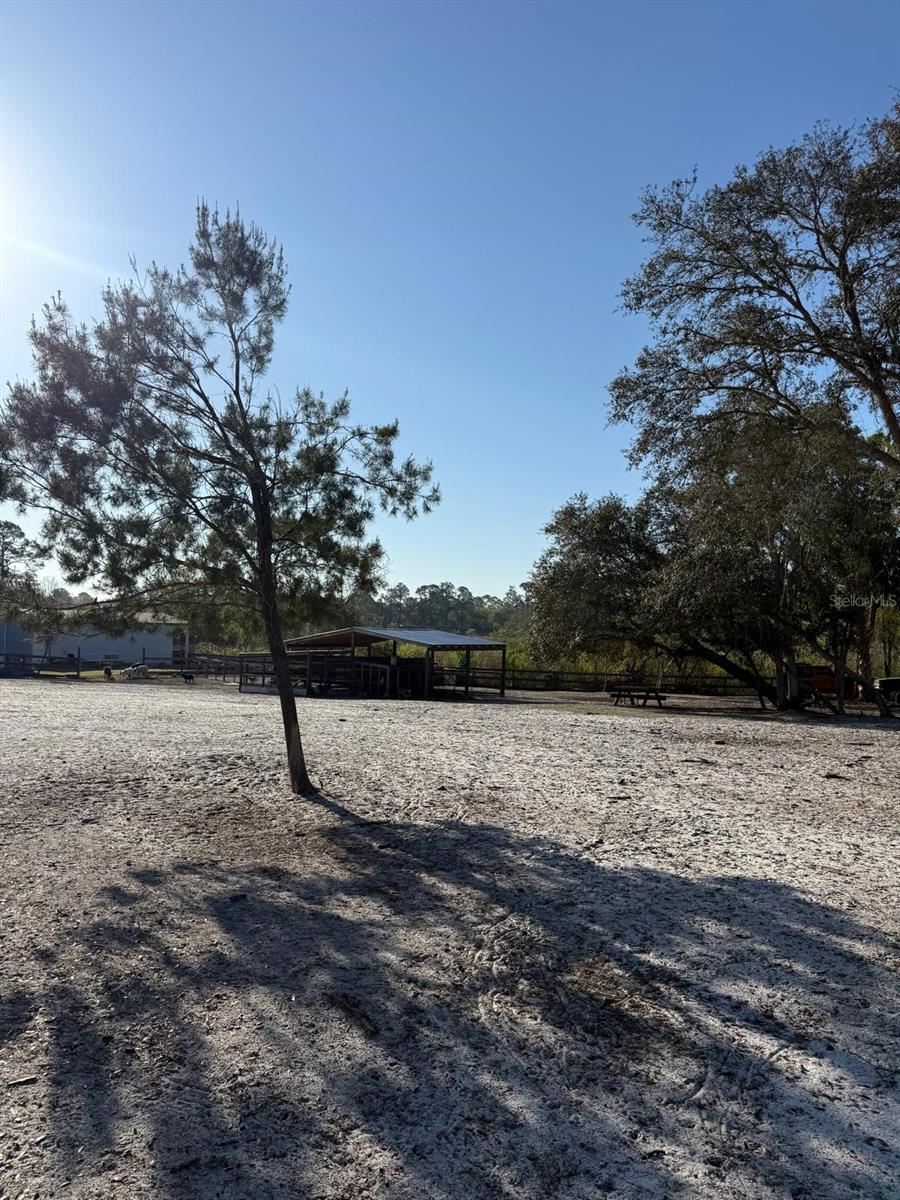 Image 10 of 30 For  3rd Avenue 