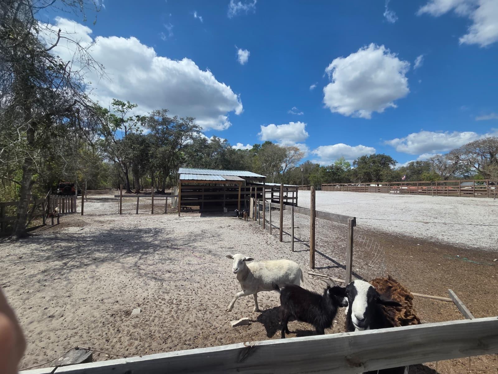 Image 12 of 30 For  3rd Avenue 