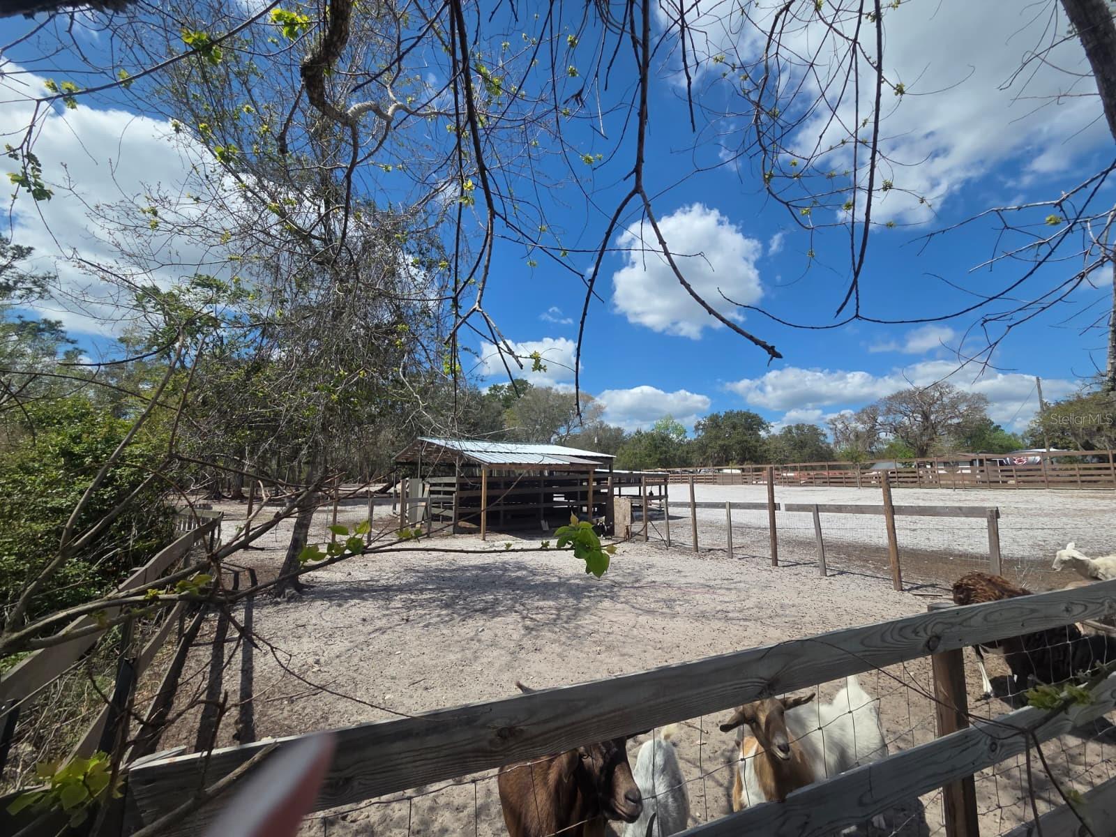 Image 13 of 30 For  3rd Avenue 