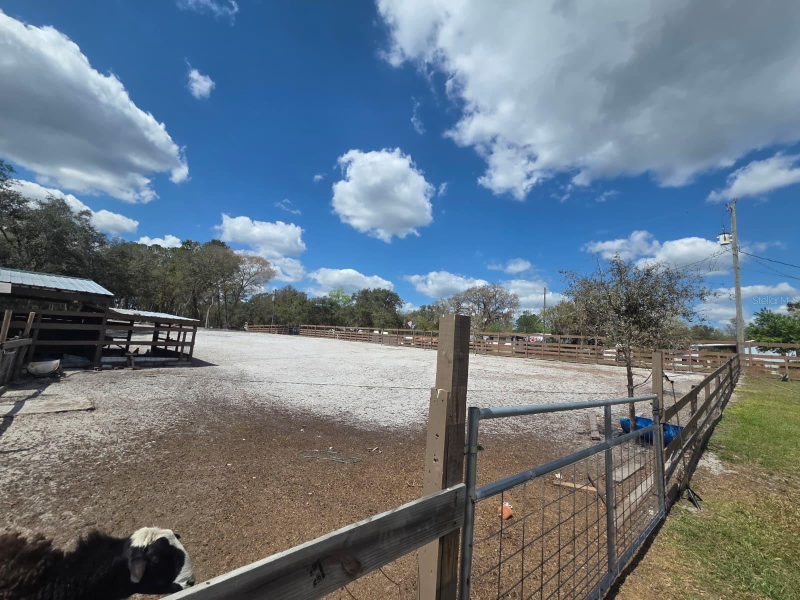 Image 14 of 30 For  3rd Avenue 