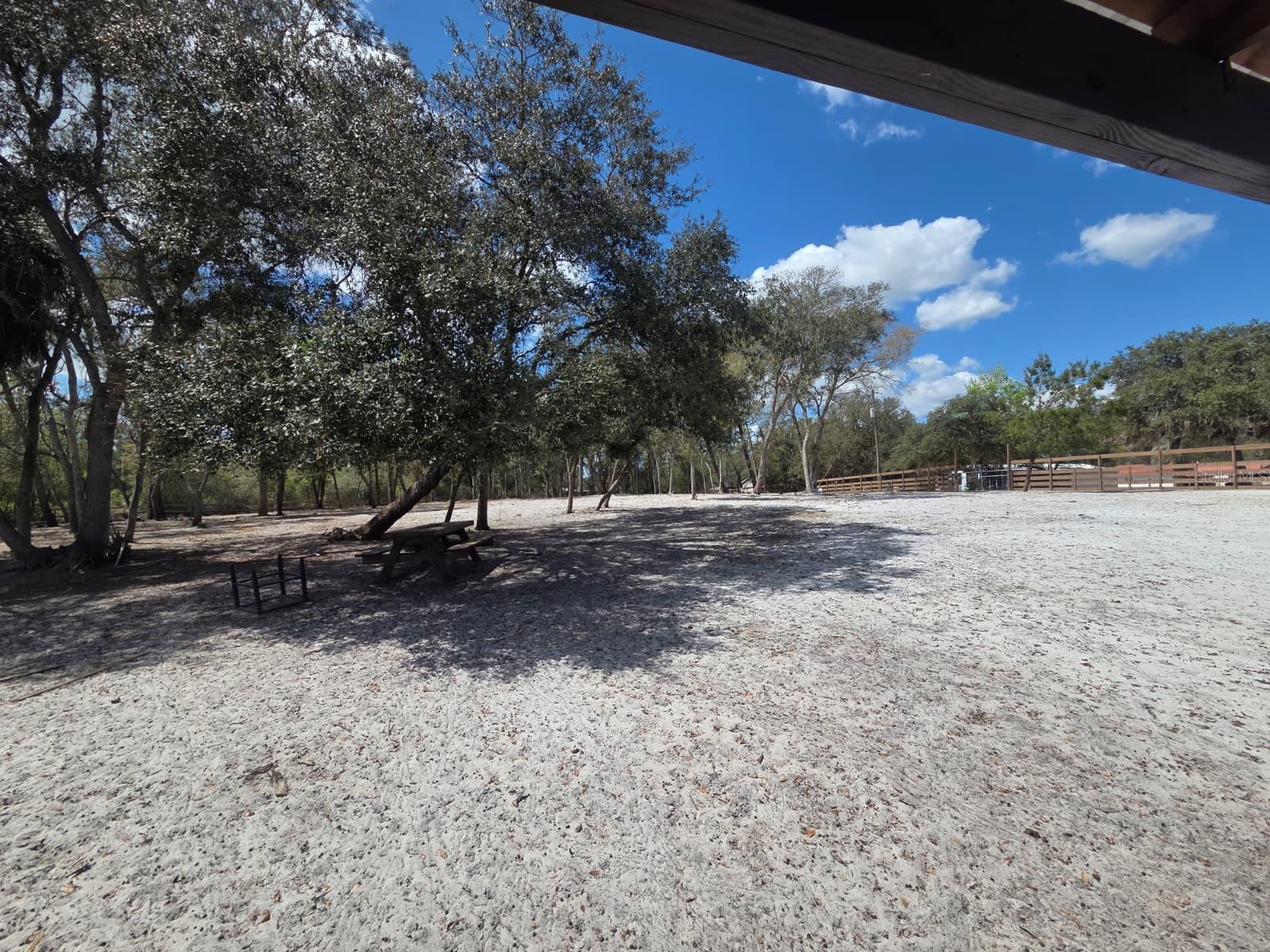 Image 16 of 30 For  3rd Avenue 