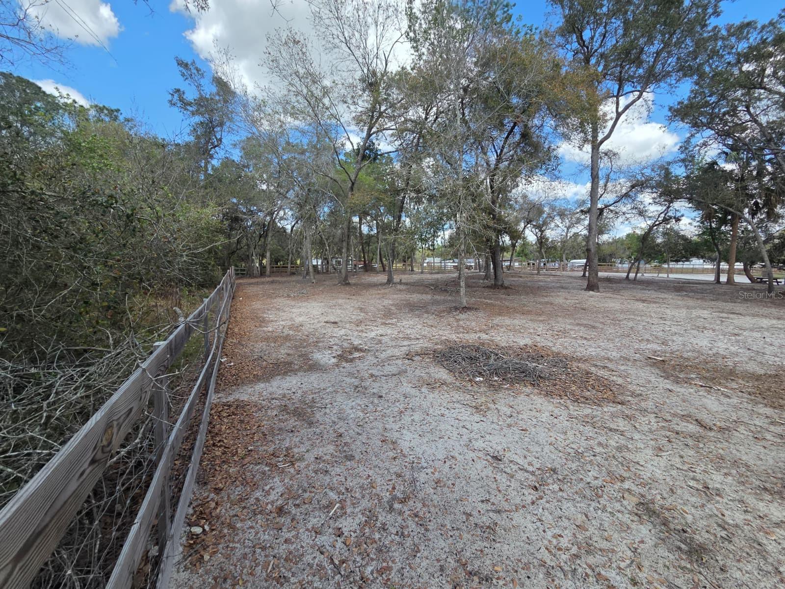 Image 20 of 30 For  3rd Avenue 