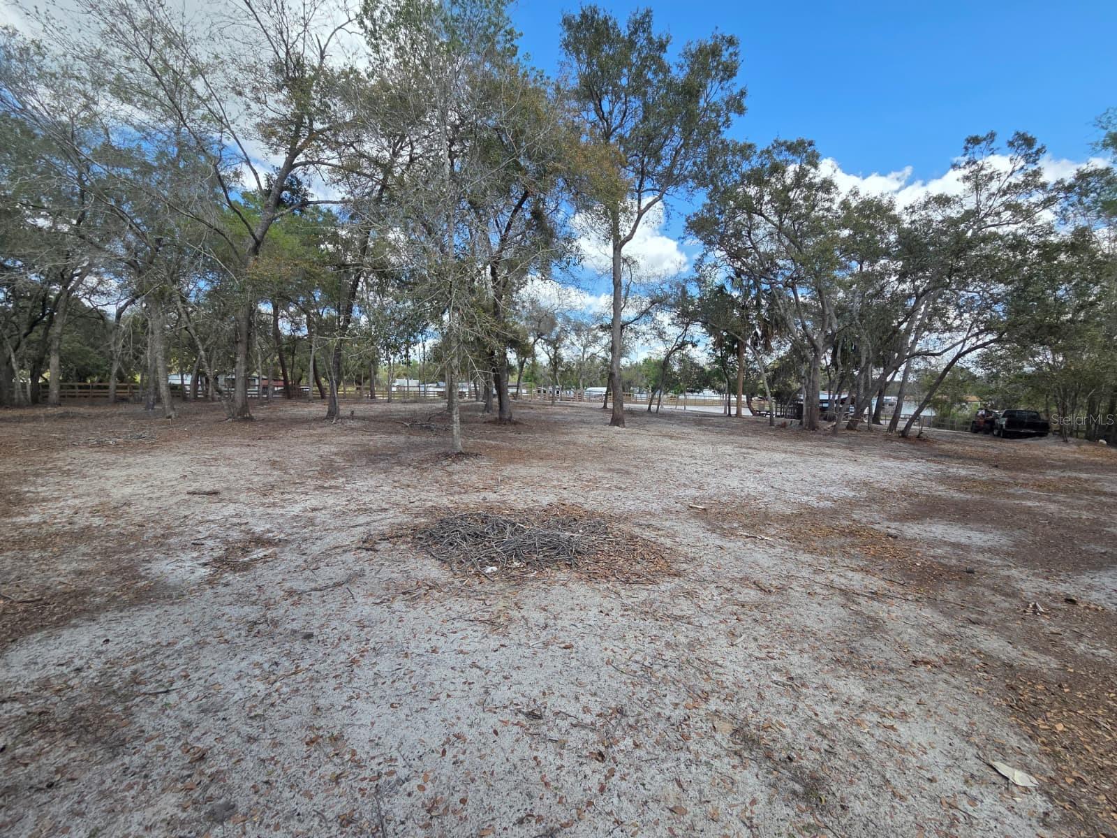 Image 21 of 30 For  3rd Avenue 