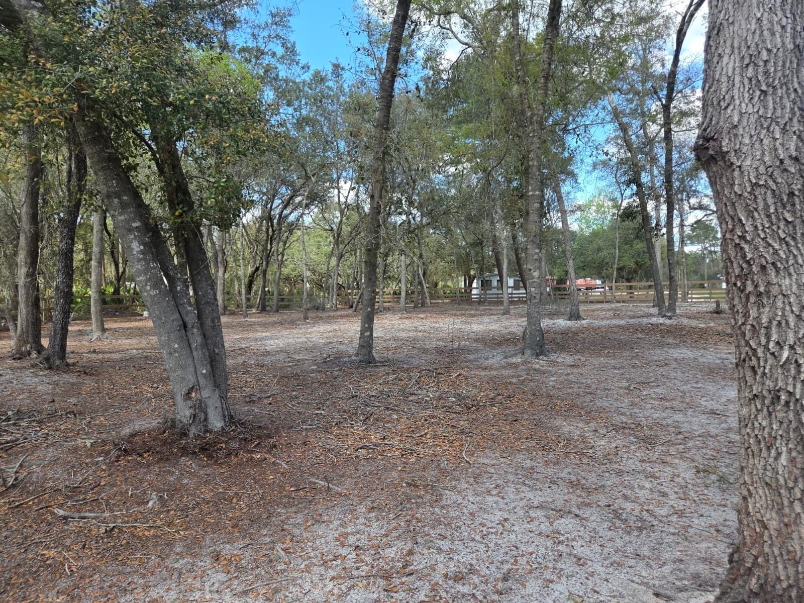 Image 22 of 30 For  3rd Avenue 