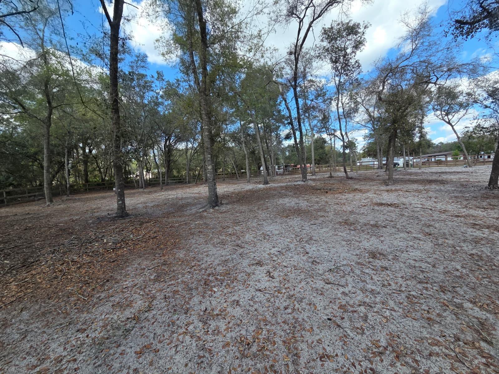 Image 23 of 30 For  3rd Avenue 