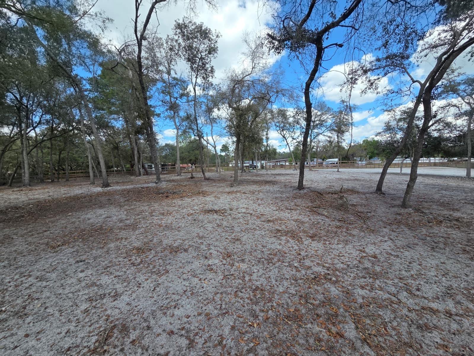 Image 25 of 30 For  3rd Avenue 