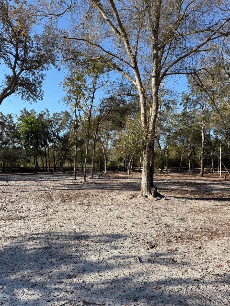 Image 4 of 30 For  3rd Avenue 