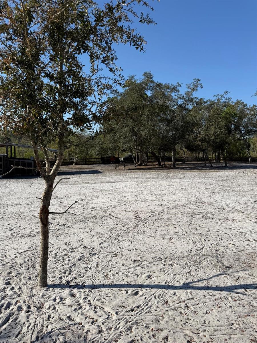 Image 7 of 30 For  3rd Avenue 