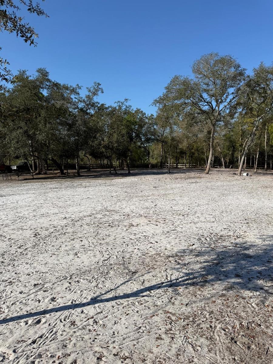 Image 8 of 30 For  3rd Avenue 