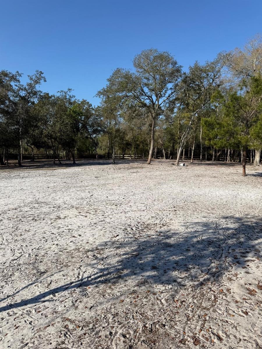 Image 9 of 30 For  3rd Avenue 