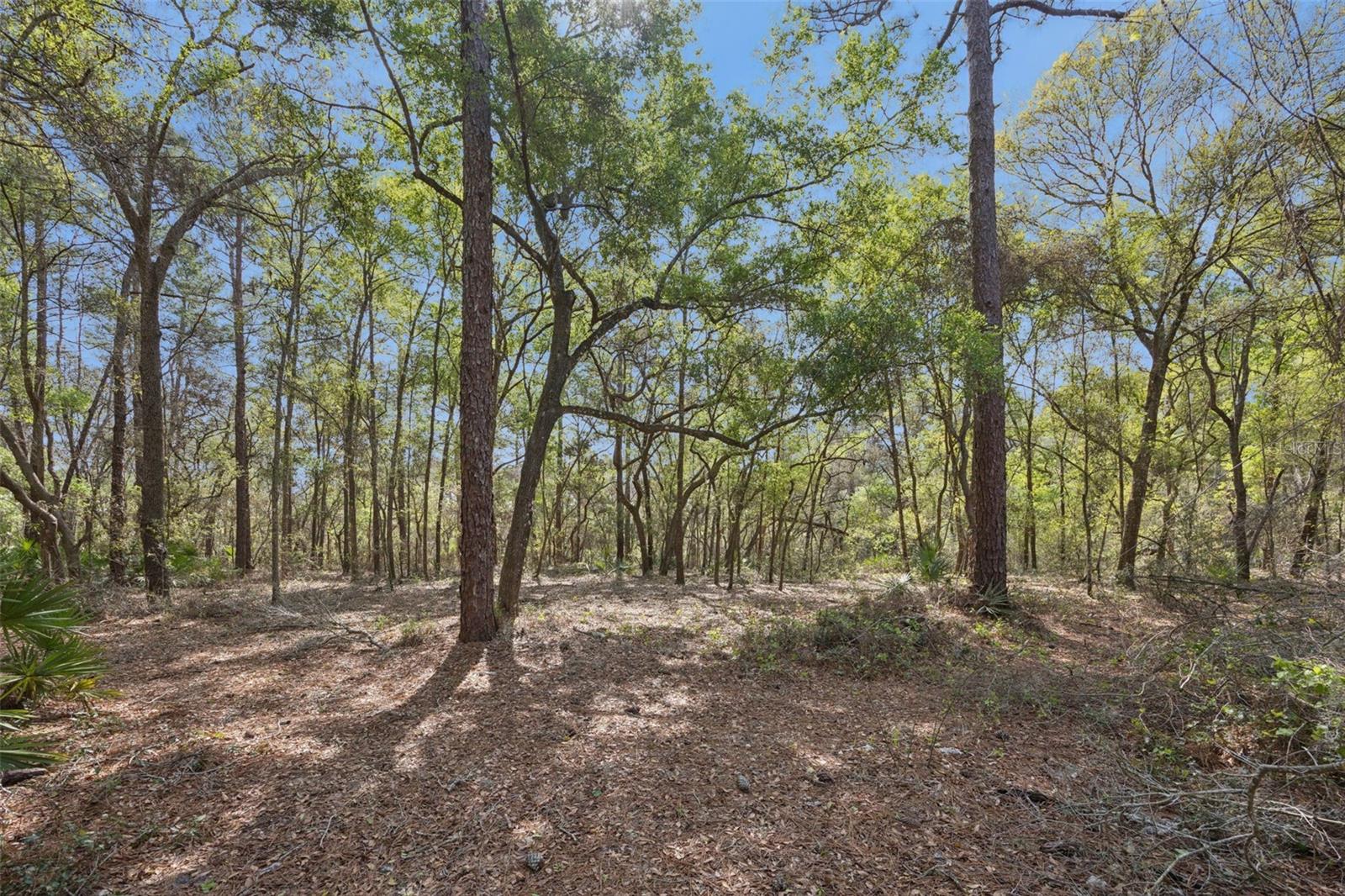 Image 7 of 10 For 2130 Missoula Trail