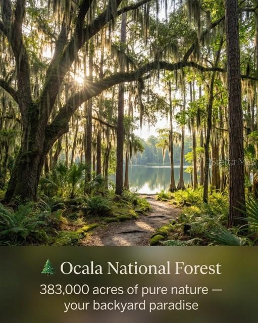 Image 16 of 19 For 684 Marion Oaks Manor