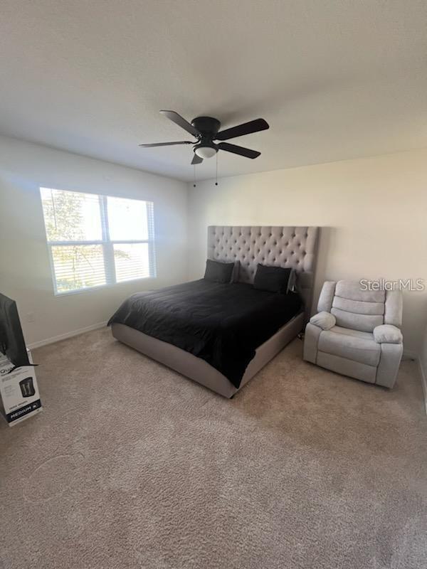 Image 10 of 20 For 20082 Royal Tern Court