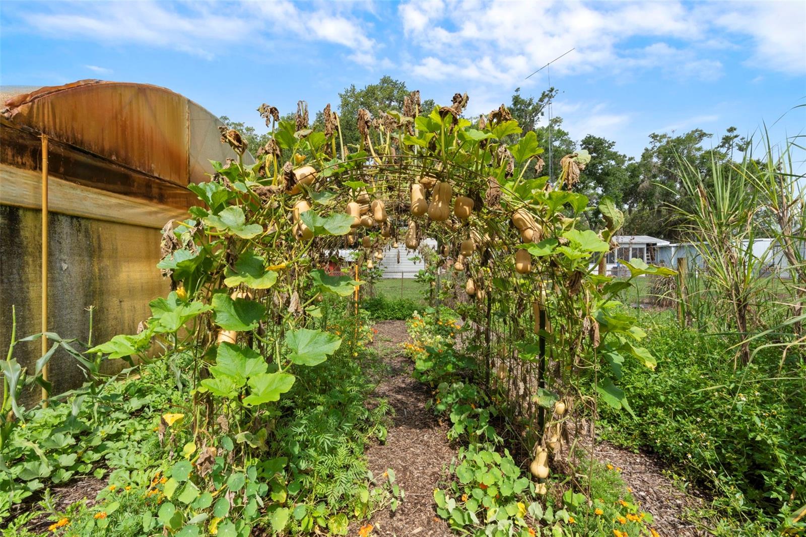 Image 36 of 93 For 2026 Lewis Road