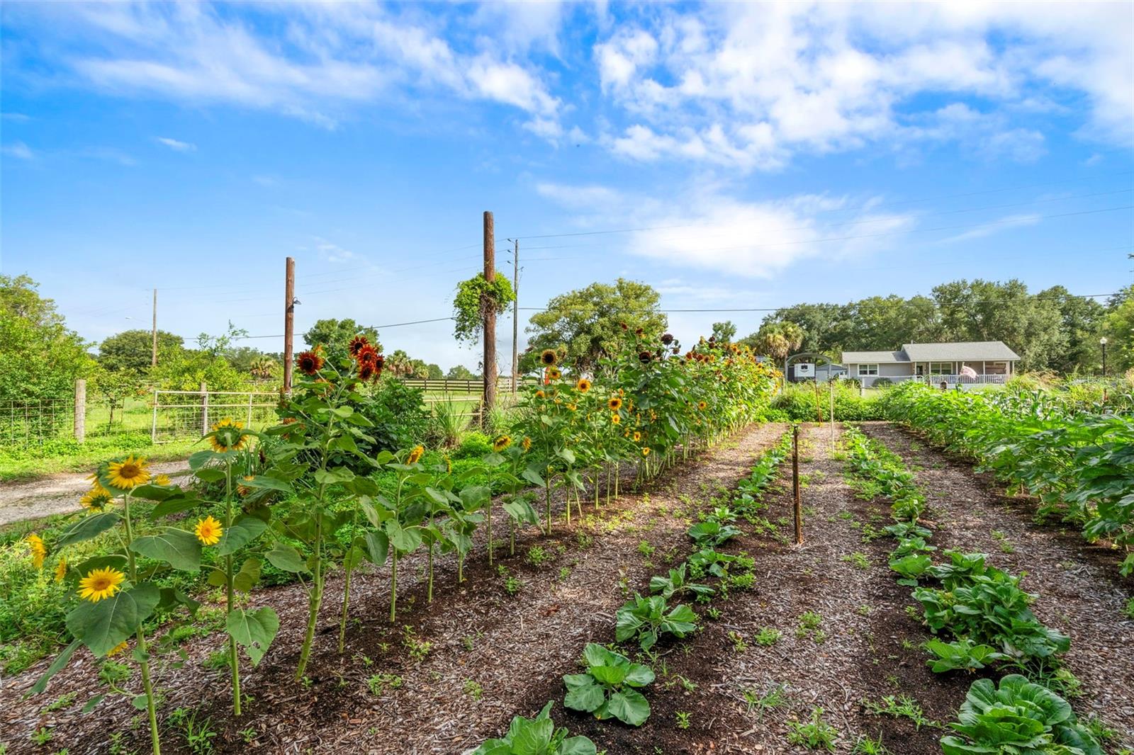 Image 38 of 93 For 2026 Lewis Road