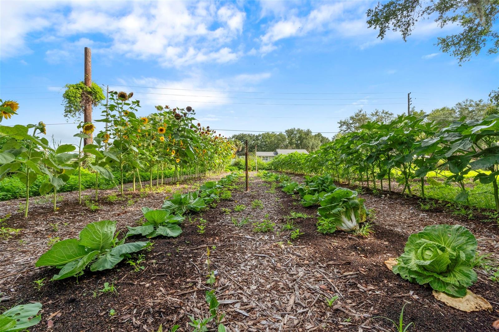 Image 40 of 93 For 2026 Lewis Road