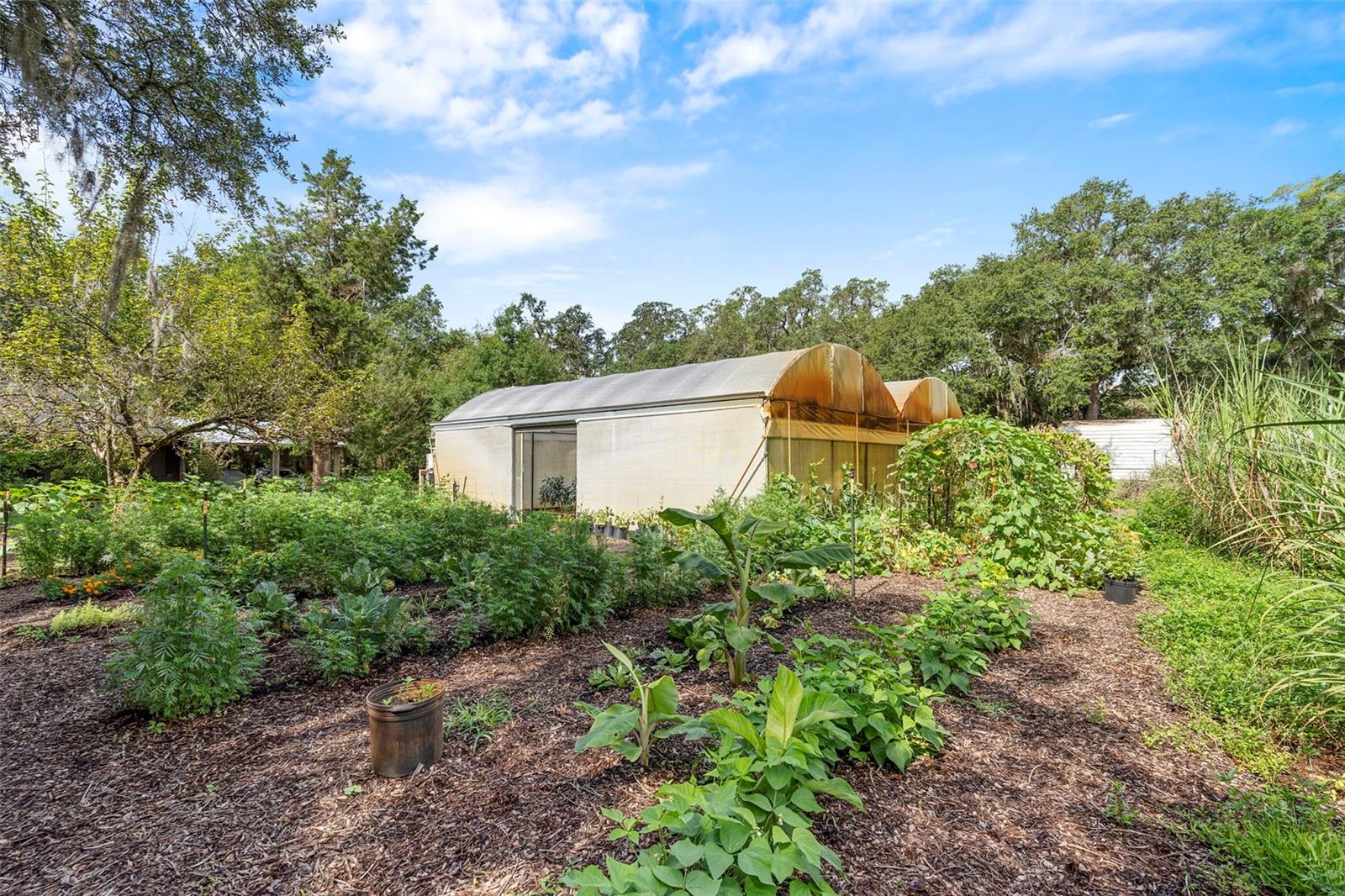 Image 73 of 93 For 2026 Lewis Road