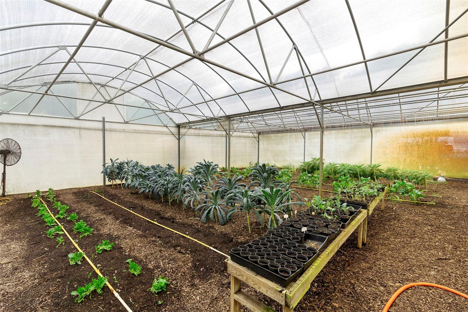 Image 88 of 93 For 2026 Lewis Road