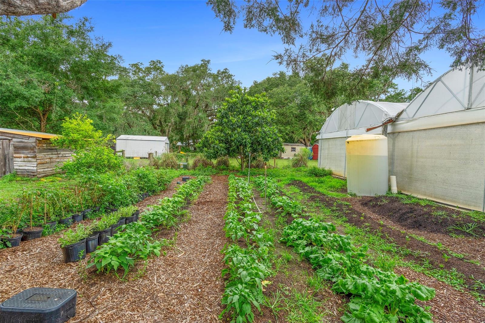 Image 89 of 93 For 2026 Lewis Road