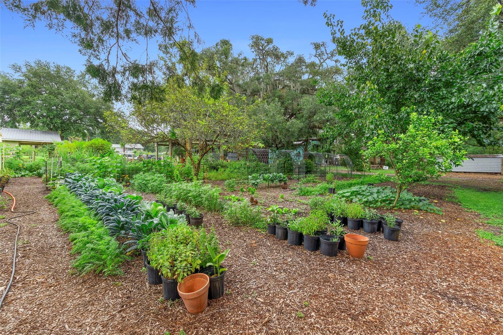 Image 90 of 93 For 2026 Lewis Road