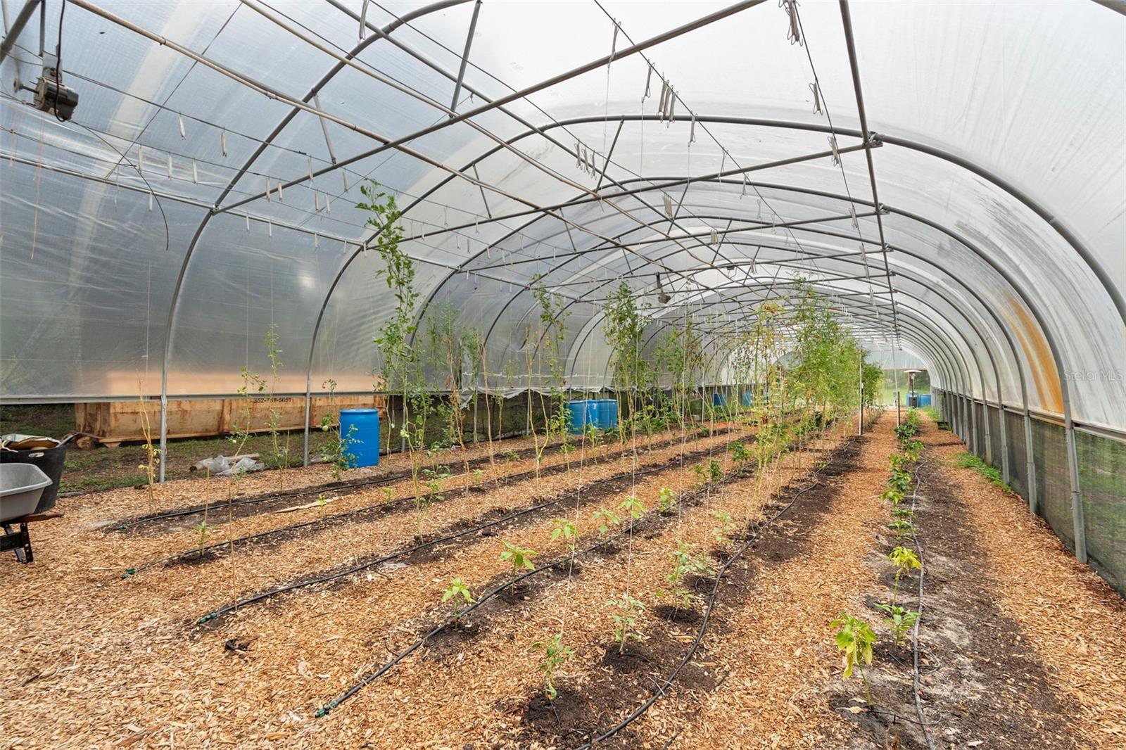 Image 91 of 93 For 2026 Lewis Road