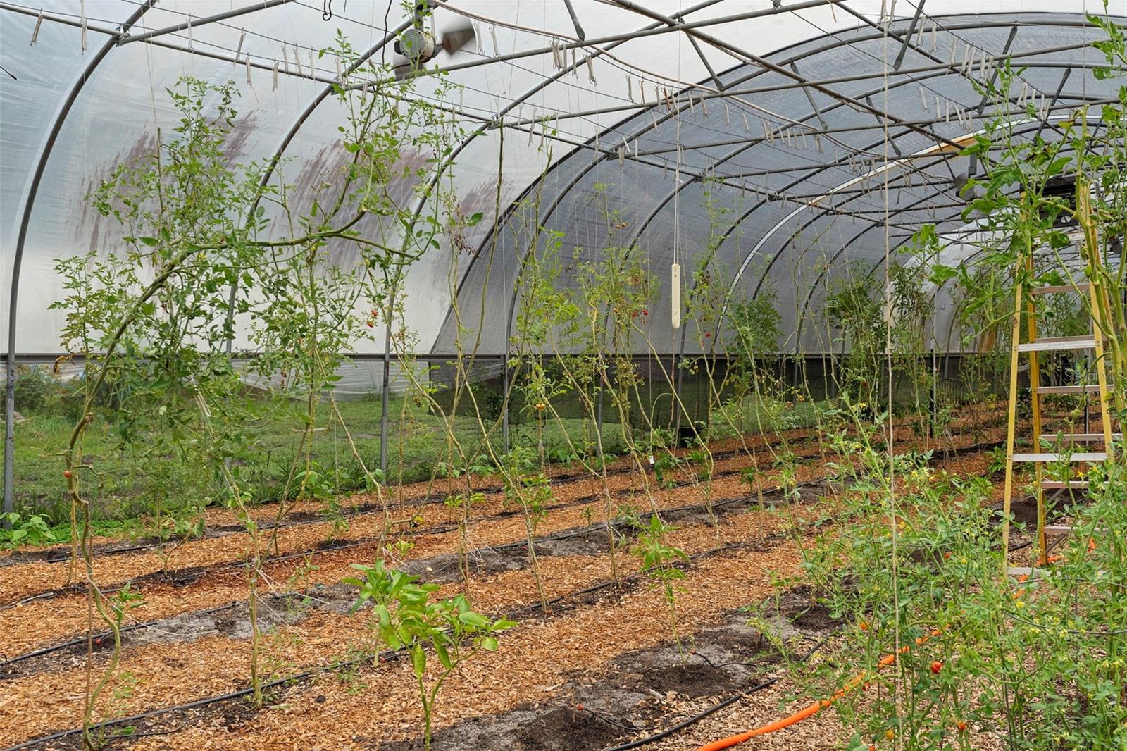 Image 93 of 93 For 2026 Lewis Road