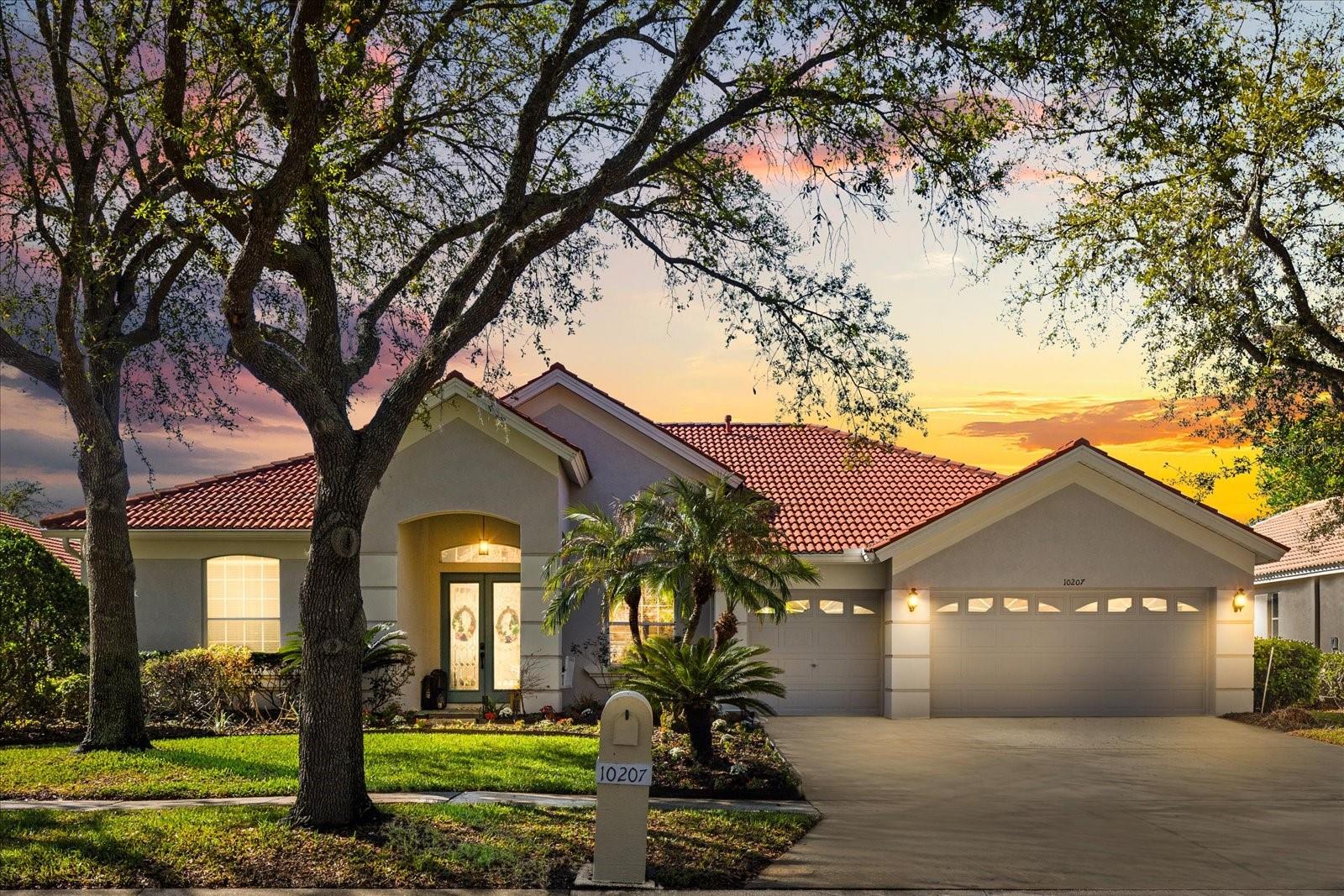 Details for 10207 Arbor Side Drive, TAMPA, FL 33647