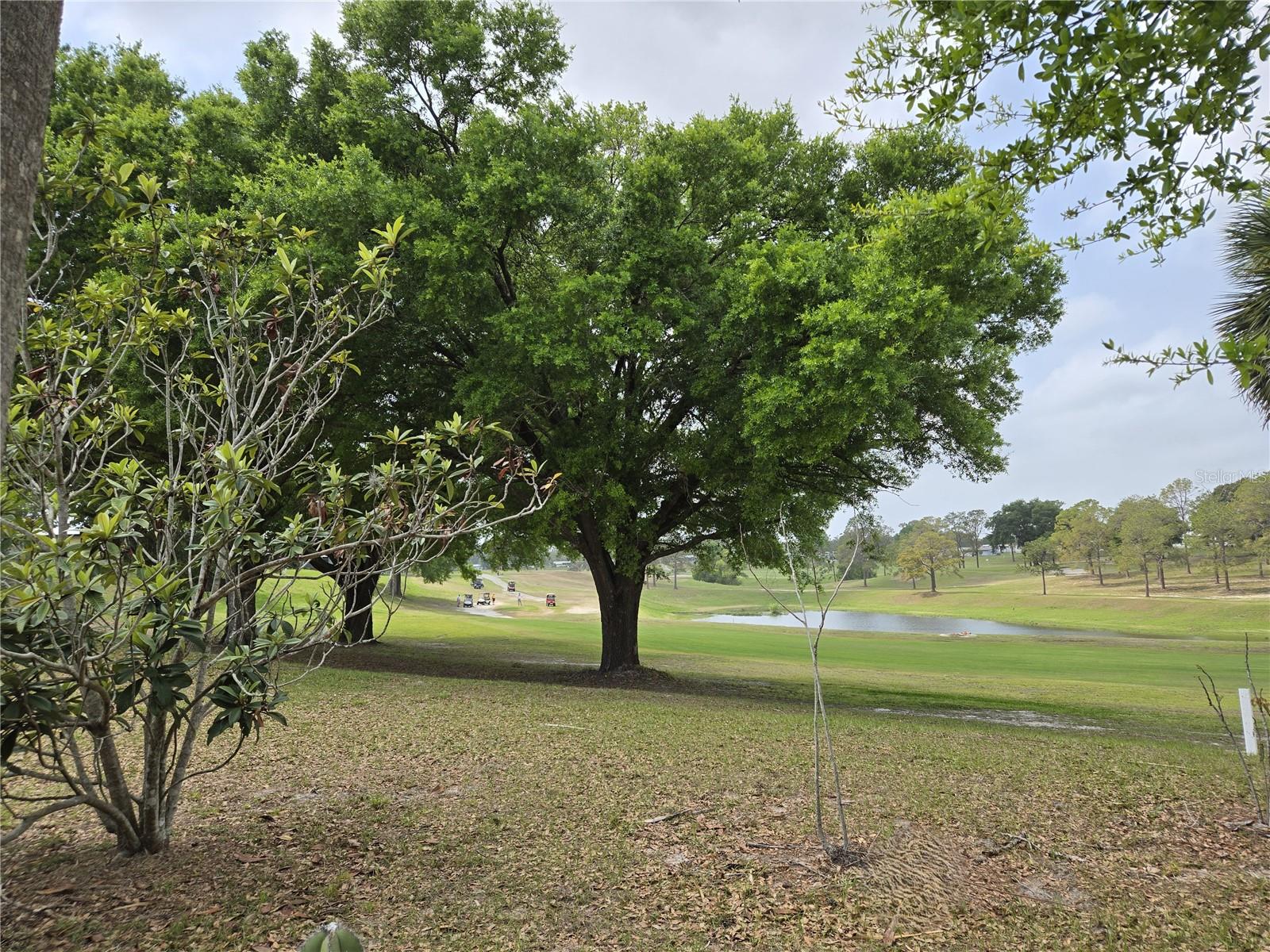 Image 11 of 30 For 2458 Putter Road 1610