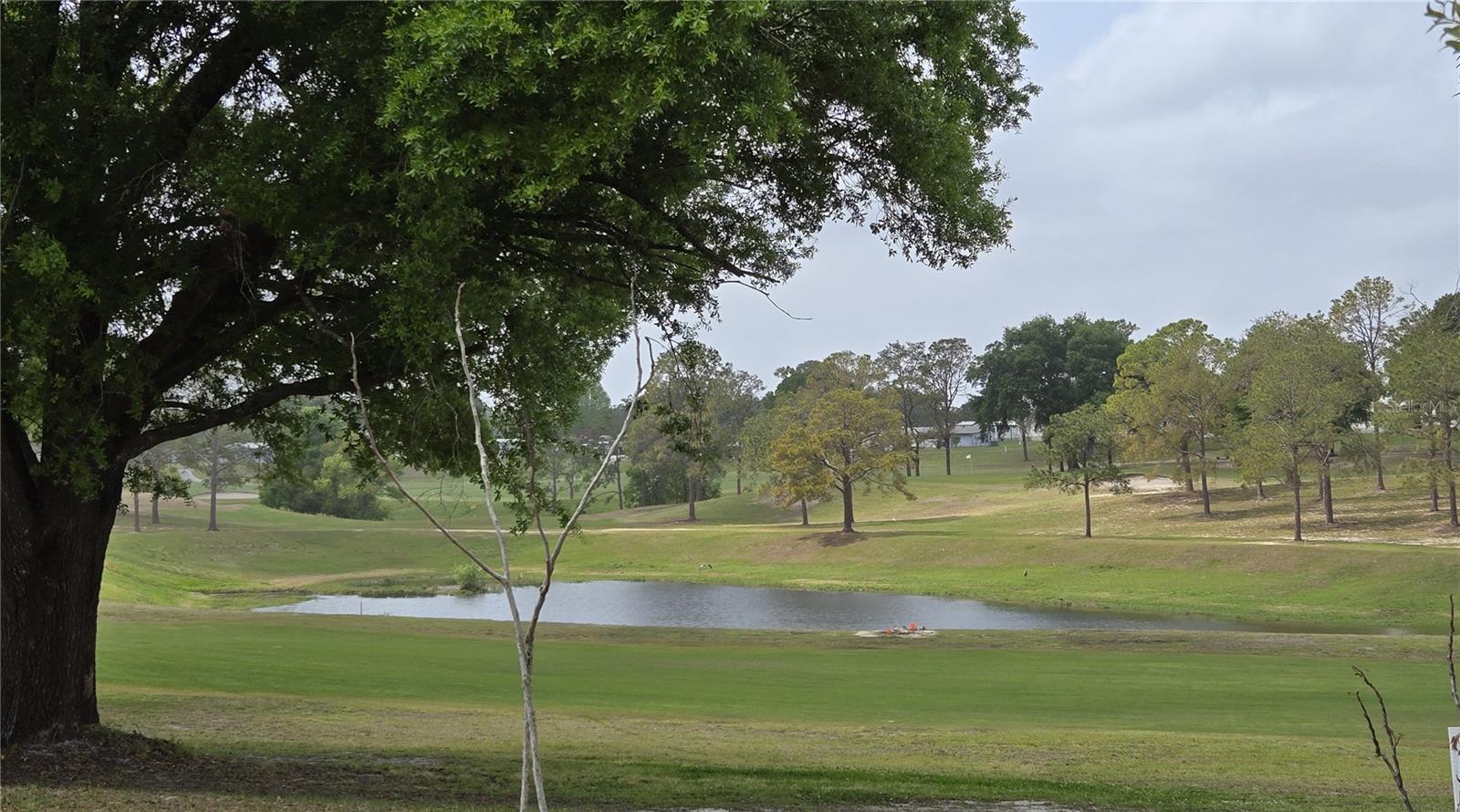 Image 8 of 30 For 2458 Putter Road 1610