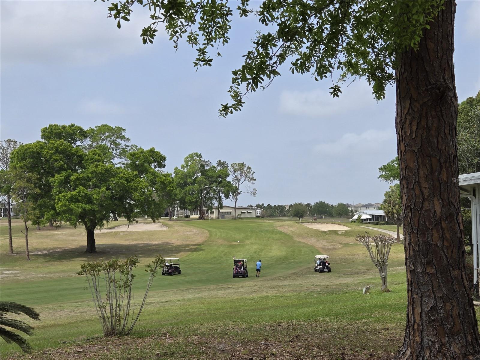 Image 9 of 30 For 2458 Putter Road 1610