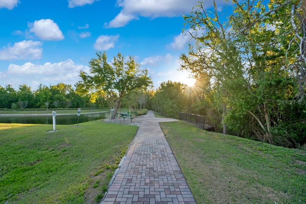 Image 60 of 71 For 743 Canopy Estates Drive