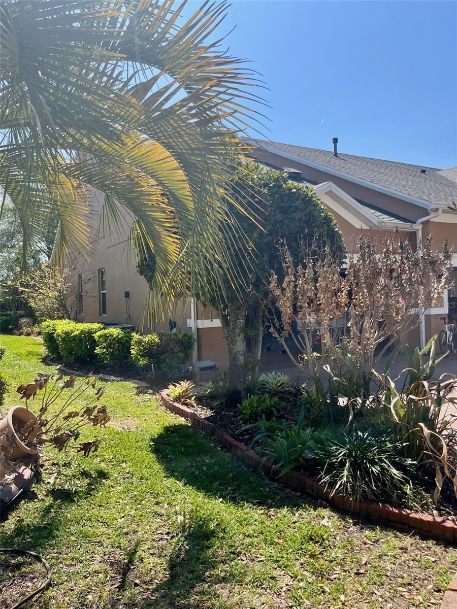 Image 6 of 42 For 184 Crepe Myrtle Drive