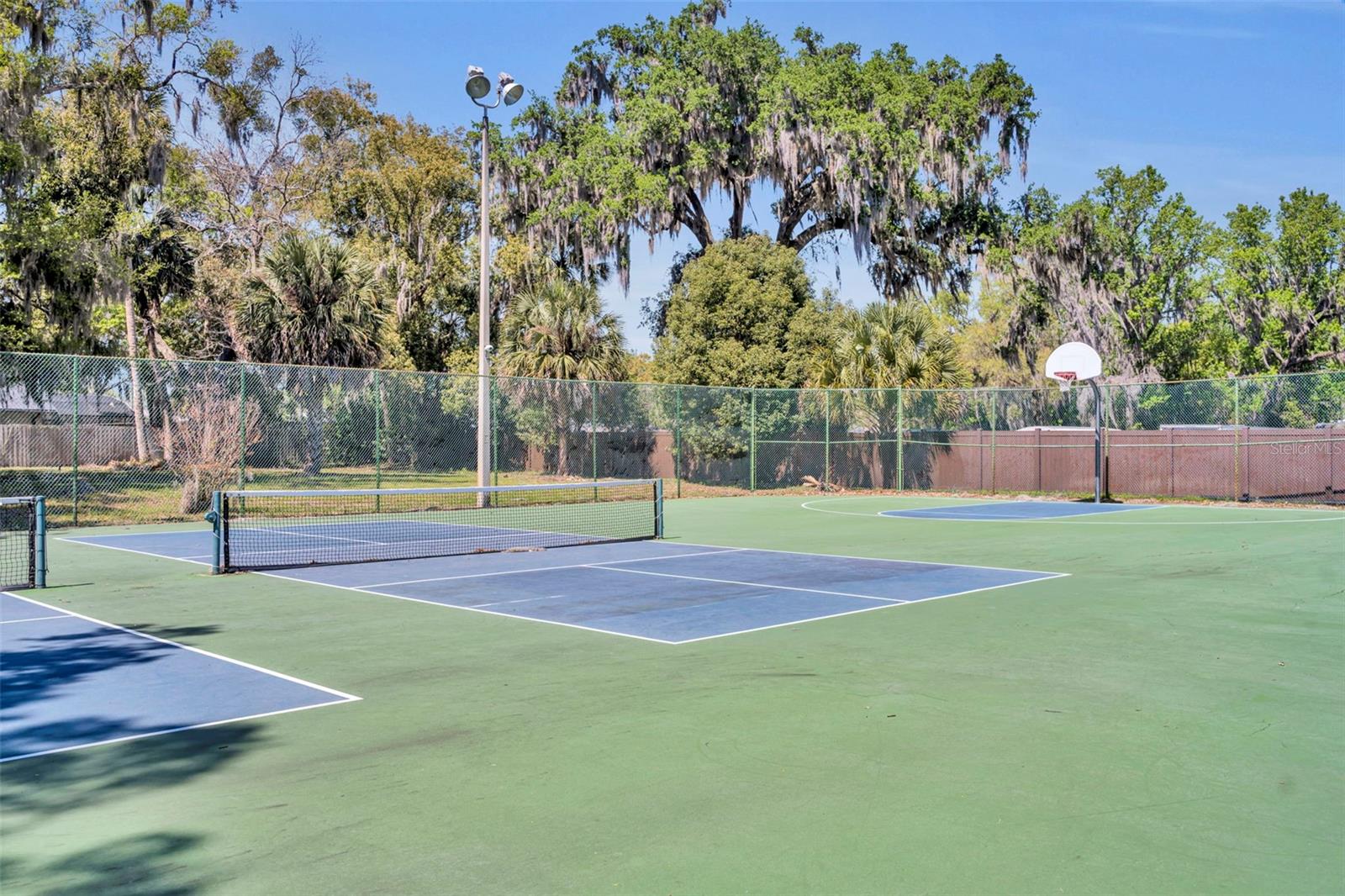 Listing photo id 58 for 853 Pine Shadow Drive