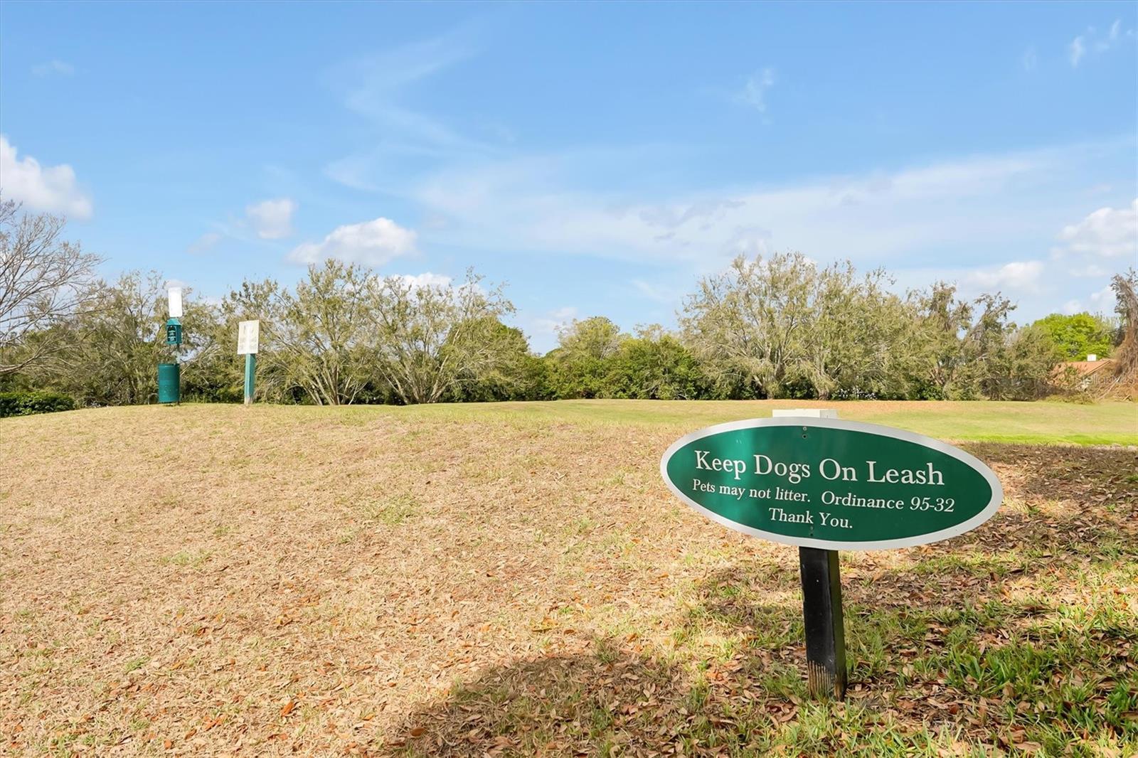 Image 47 of 59 For 7259 Regina Way