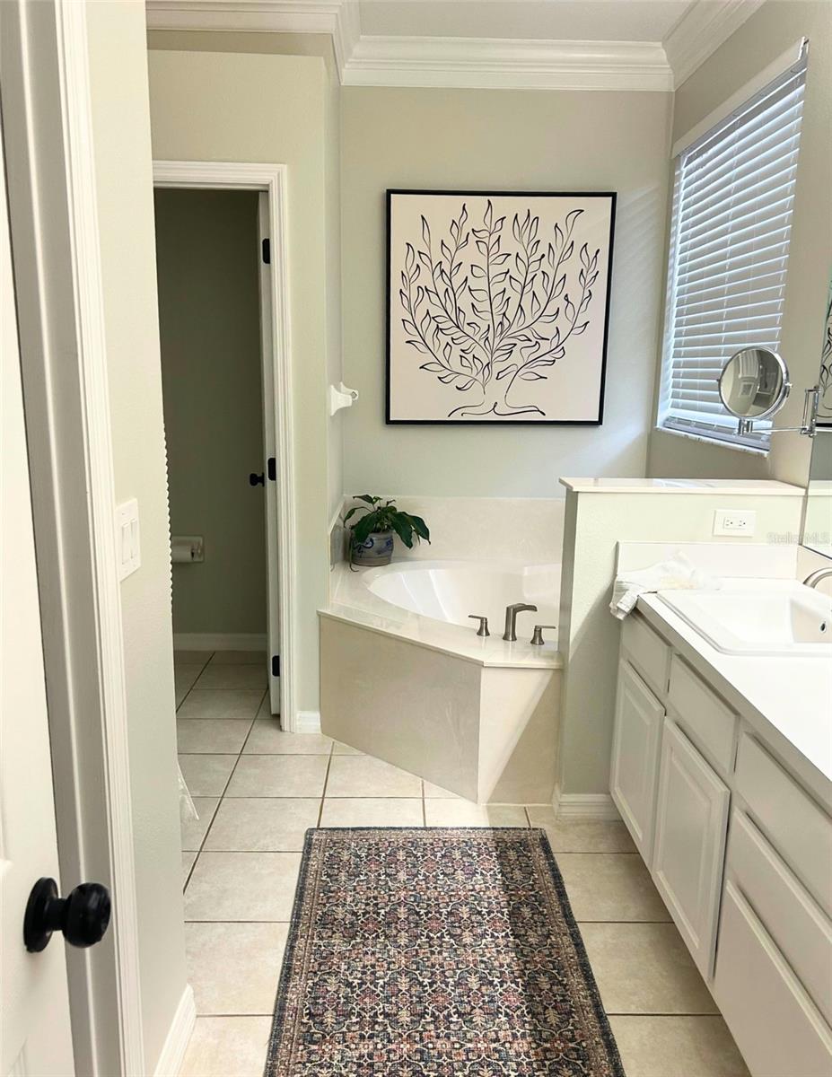 Image 12 of 34 For 728 Tigris Lane